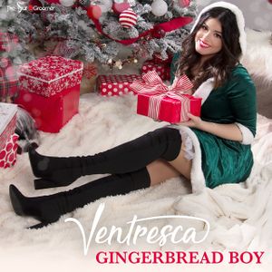 Cover Art for "Gingerbread Boy" by Ventresca (2020)